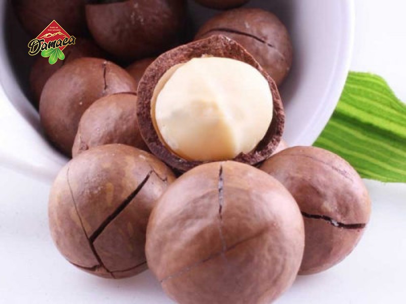 The use of macadamia nuts to the health of users - Damaca.vn