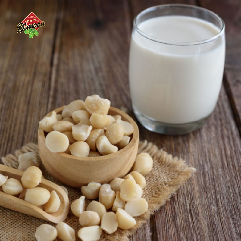 Instructions to make macca nut milk - Damaca.vn
